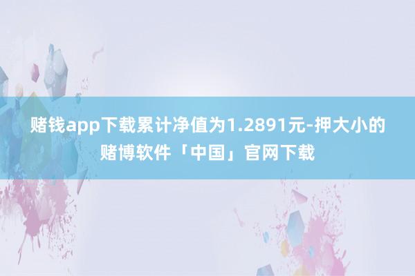 赌钱app下载累计净值为1.2891元-押大小的赌博软件「中国」官网下载